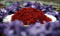 $25m of saffron exported from Khorasan Razavi province